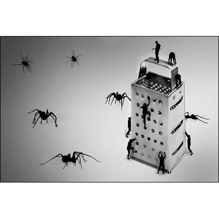 the arachnid catastrophe