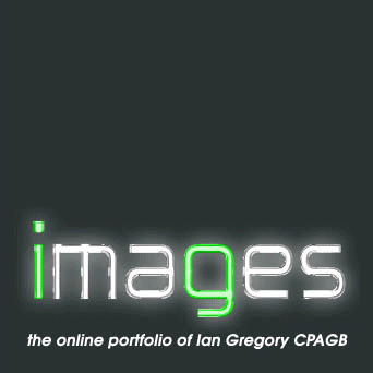 igimages_block