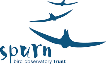 spurn bird observatory