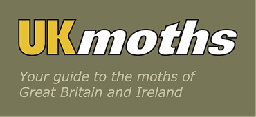 UK Moths
